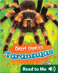 Creepy Crawlies: Tarantulas