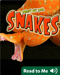 Creepy But Cool: Snakes