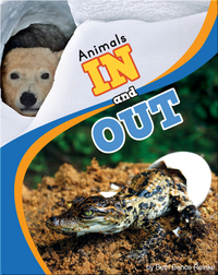 Animals In And Out