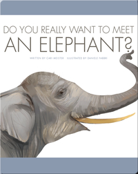 Do You Really Want To Meet An Elephant?