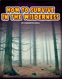 How to Survive In The Wilderness
