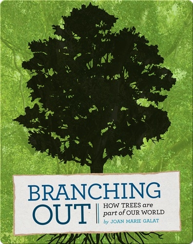 Branching Out: How Trees Are Part of Our World