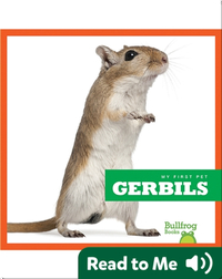 My First Pet: Gerbils
