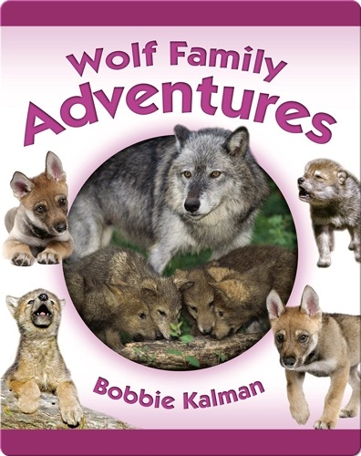 Wolf Family Adventures