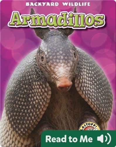 Backyard Wildlife: Armadillos