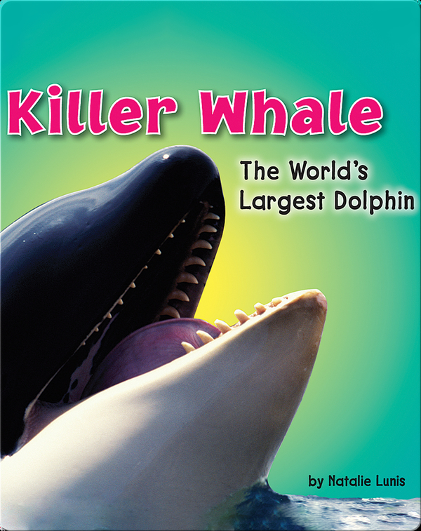 Killer Whale: The World's Largest Dolphin