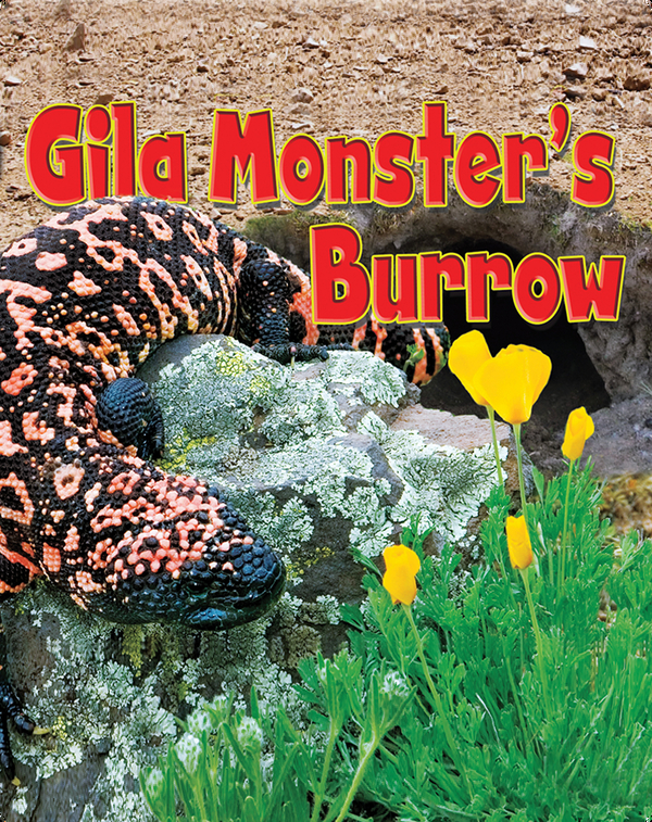 Gila Monster's Burrow