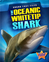The Oceanic Whitetip Shark