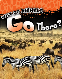 Why Do Animals Go There?