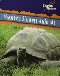 Nature’s Slowest Animals