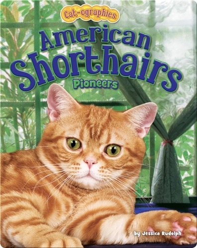 American Shorthairs: Pioneers