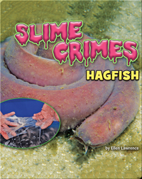 Slime Crimes: Hagfish