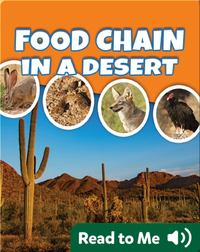 Food Chain In A Desert