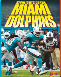 Highlights of the Miami Dolphins