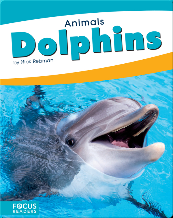 Animals: Dolphins