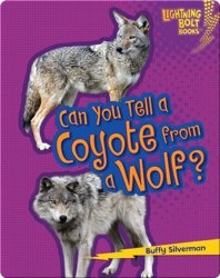 Can you Tell a Coyote from a Wolf?