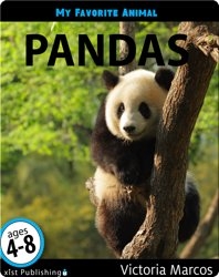 My Favorite Animal: Pandas