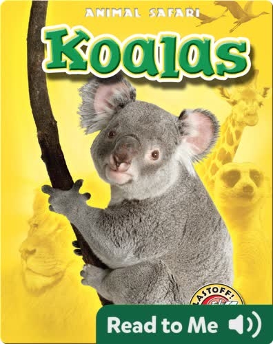 Koalas: Animal Safari