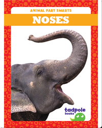 Animal Part Smarts: Noses