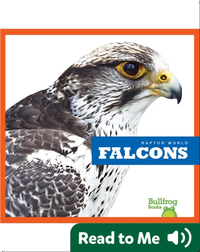 Raptor World: Falcons