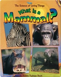 What is a Mammal?
