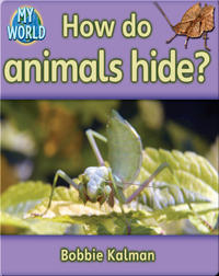 How do Animals Hide?