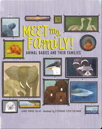 Meet My Family!: Animal Babies and Their Families