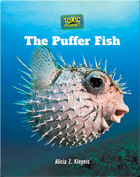 Toxic Creatures: The Puffer Fish