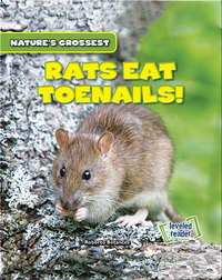 Nature's Grossest: Rats Eat Toenails!