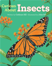 Discovering Nature: Curious About Insects
