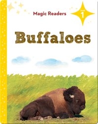 Magic Readers: Buffaloes