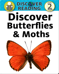 Discover Butterflies and Moths
