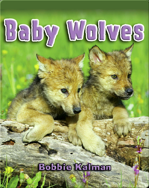 Baby Wolves