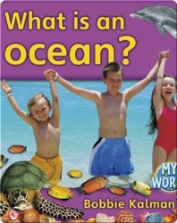 What Is An Ocean?