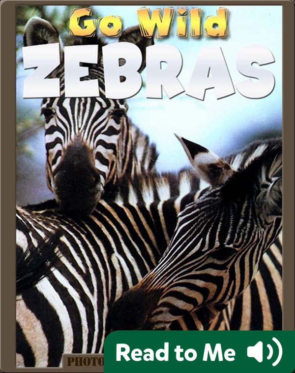 Go Wild Zebras