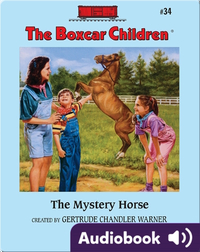 The Mystery Horse