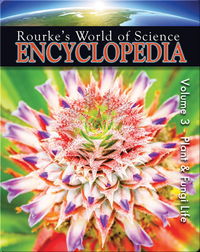 Science Encyclopedia Plant & Fungi Life