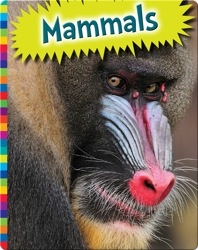 Mammals