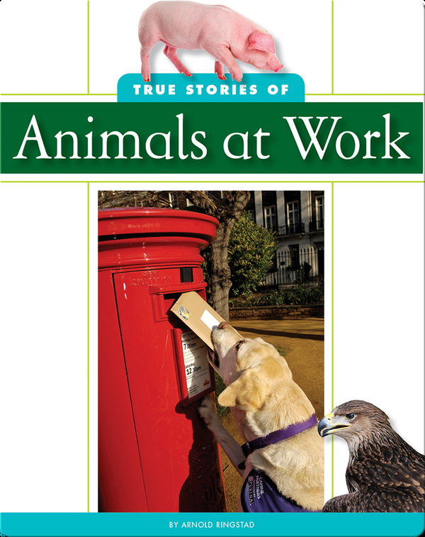 True Stories of Animal at Work