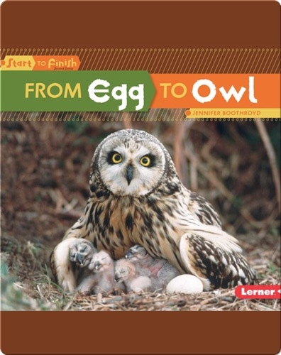 From Egg to Owl