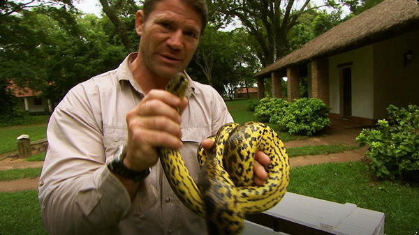 Eye to Eye With a Yellow Anaconda - Deadly 60