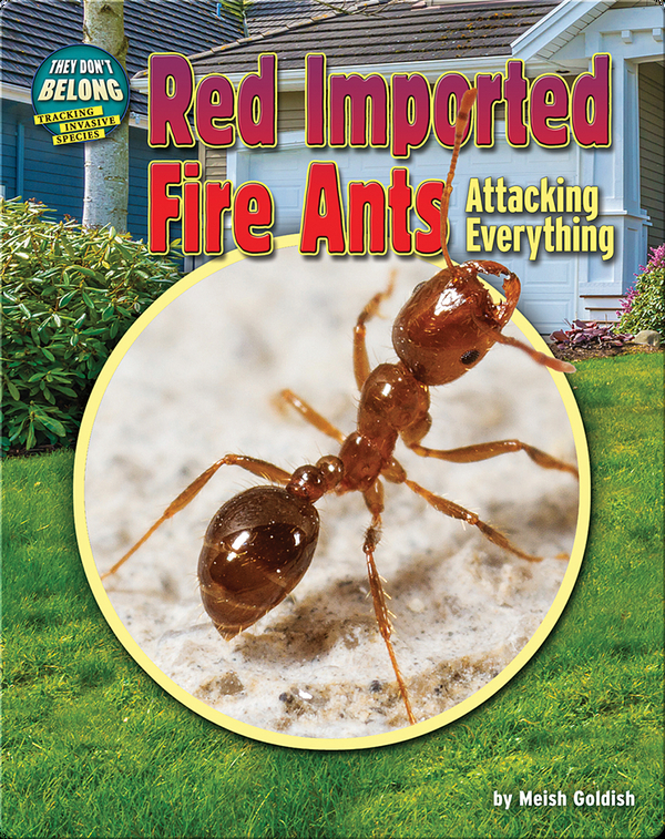 Red Imported Fire Ants: Attacking Everything!