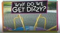 SciShow Kids: Why Do We Get Dizzy?