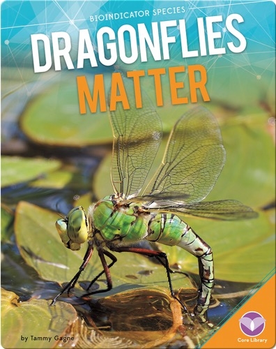 Dragonflies Matter