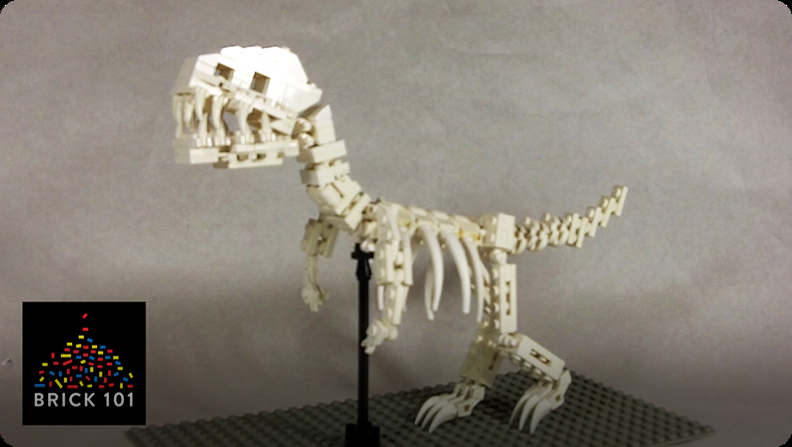 How To Build A Lego T Rex Skeleton Video Discover Fun And Educational Videos That Kids Love Epic Children S Books Audiobooks Videos More