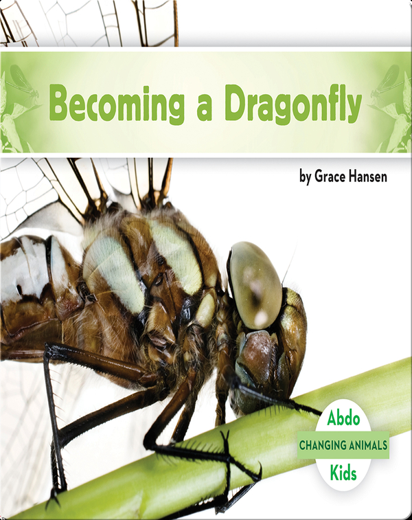 Becoming a Dragonfly