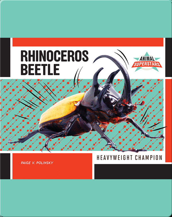 Rhinoceros Beetle: Heavyweight Champion