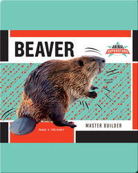 Beaver: Master Builder