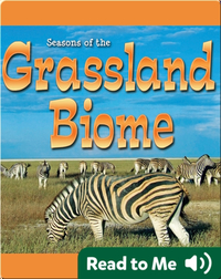 Seasons Of The Grassland Biome