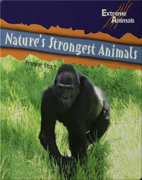 Nature’s Strongest Animals